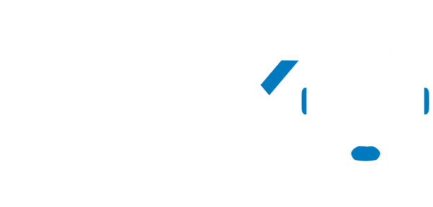  Logotipo da Flex
